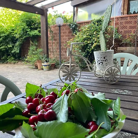 The Flowers' House Ferienhaus