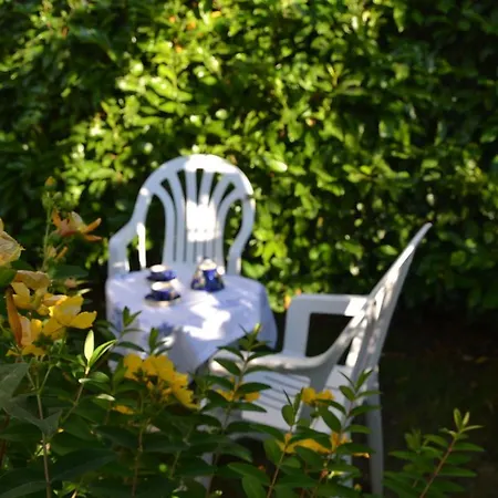 The Flowers' House * Potenza