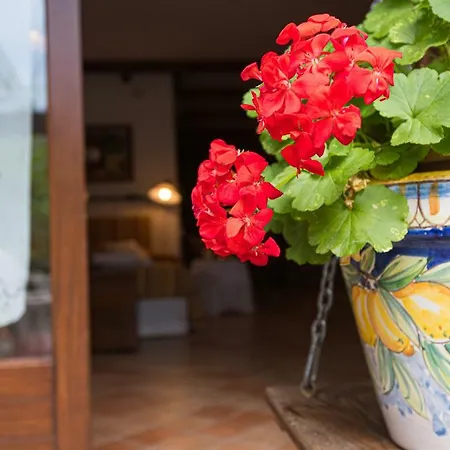 The Flowers' House