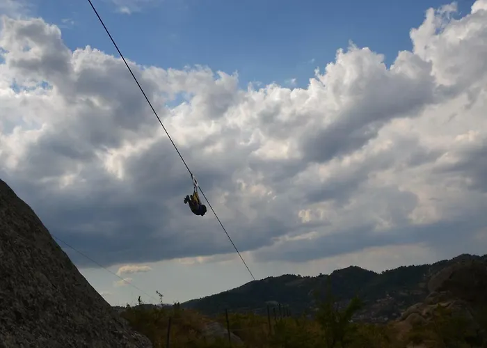 The Flowers' House Potenza